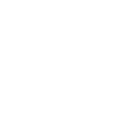 Manual